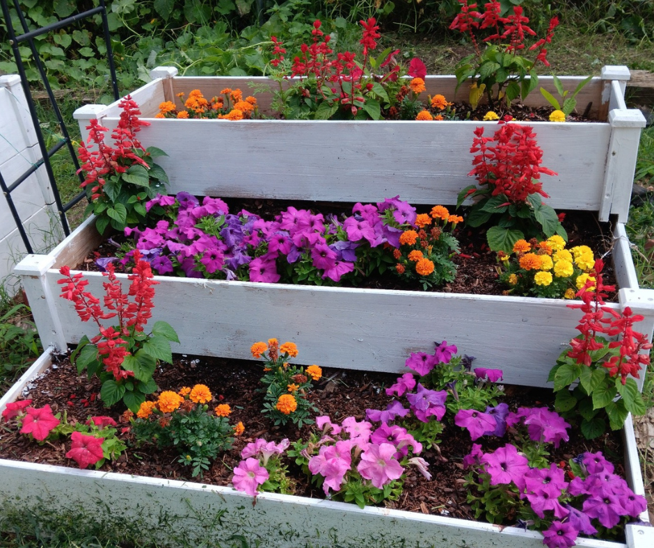 Our Beautiful Garden